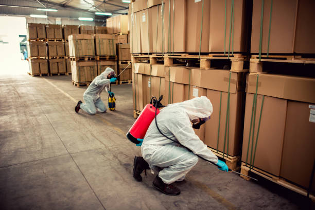 Best Local Pest Control Services  in Jasper, AL