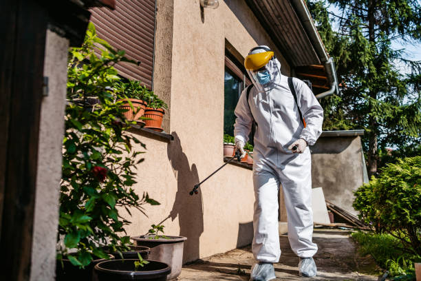 Reliable Jasper, AL Pest Control Solutions