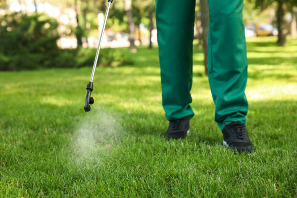 Best Mosquito Control Services  in Jasper, AL