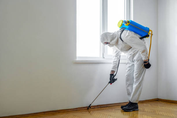 Best Affordable Pest Control Services  in Jasper, AL