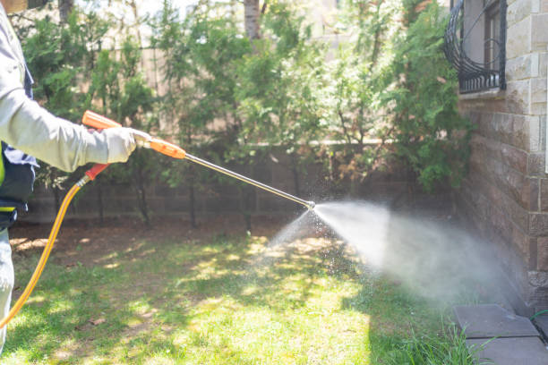 Best Mosquito Control Services  in Jasper, AL